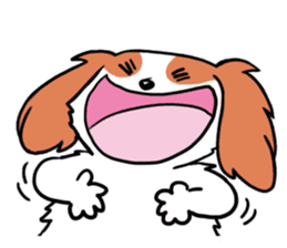 Cavalier KCS Blenheim+Tricolor+Ruby+B&T sticker #5862394