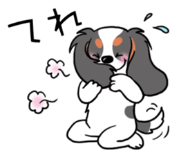 Cavalier KCS Blenheim+Tricolor+Ruby+B&T sticker #5862395