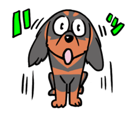 Cavalier KCS Blenheim+Tricolor+Ruby+B&T sticker #5862397