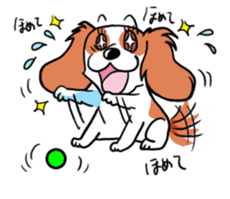 Cavalier KCS Blenheim+Tricolor+Ruby+B&T sticker #5862398