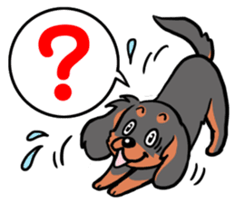 Cavalier KCS Blenheim+Tricolor+Ruby+B&T sticker #5862401