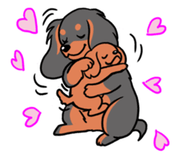 Cavalier KCS Blenheim+Tricolor+Ruby+B&T sticker #5862405