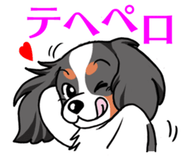 Cavalier KCS Blenheim+Tricolor+Ruby+B&T sticker #5862407