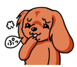 Cavalier KCS Blenheim+Tricolor+Ruby+B&T sticker #5862408