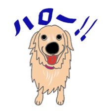 Golden Retriever and His Mates sticker #5863970