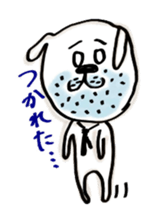 with USAO sticker #5864019