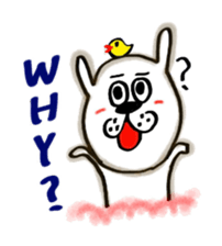 with USAO sticker #5864039