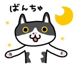 My cat "Mu-chan" sticker sticker #5865203