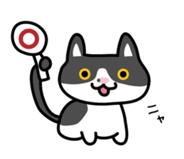 My cat "Mu-chan" sticker sticker #5865209