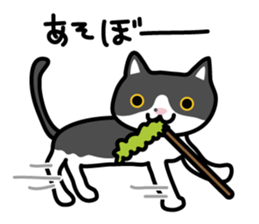My cat "Mu-chan" sticker sticker #5865215