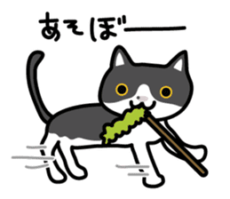 My cat "Mu-chan" sticker sticker #5865215