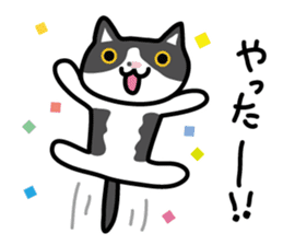 My cat "Mu-chan" sticker sticker #5865223