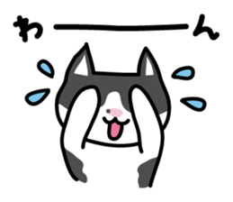 My cat "Mu-chan" sticker sticker #5865229