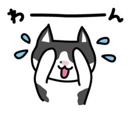 My cat "Mu-chan" sticker sticker #5865229