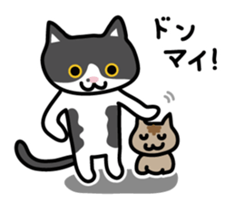 My cat "Mu-chan" sticker sticker #5865231