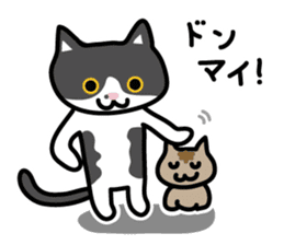 My cat "Mu-chan" sticker sticker #5865231