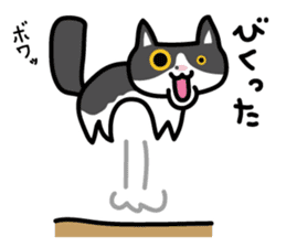 My cat "Mu-chan" sticker sticker #5865234