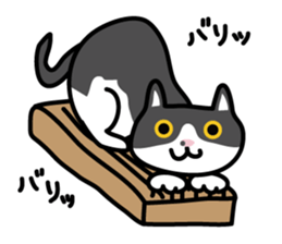 My cat "Mu-chan" sticker sticker #5865235