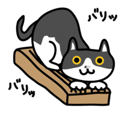 My cat "Mu-chan" sticker sticker #5865235