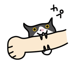 My cat "Mu-chan" sticker sticker #5865236