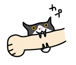 My cat "Mu-chan" sticker sticker #5865236