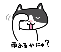 My cat "Mu-chan" sticker sticker #5865237