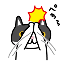 My cat "Mu-chan" sticker sticker #5865238