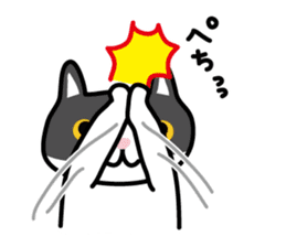 My cat "Mu-chan" sticker sticker #5865238