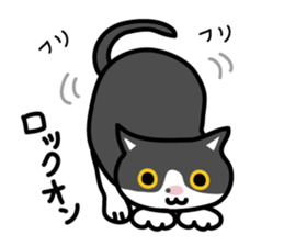 My cat "Mu-chan" sticker sticker #5865239