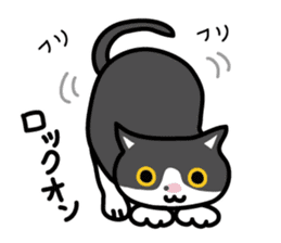 My cat "Mu-chan" sticker sticker #5865239