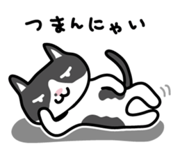 My cat "Mu-chan" sticker sticker #5865241