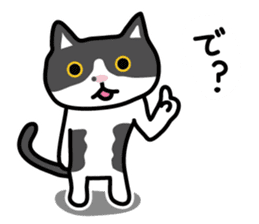 My cat "Mu-chan" sticker sticker #5865244