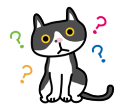 My cat "Mu-chan" sticker sticker #5865246