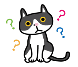 My cat "Mu-chan" sticker sticker #5865246