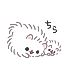 Pomeranian Mochi 5 sticker #5870121