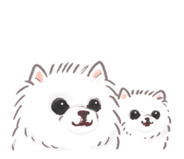 Pomeranian Mochi 5 sticker #5870145
