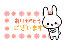 Frequently used message Rabbit sticker #5870169