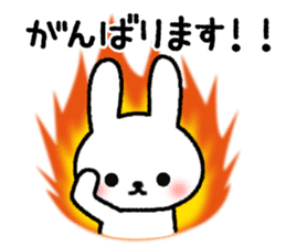Frequently used message Rabbit sticker #5870179