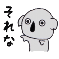 Koala of the university student