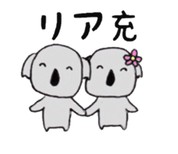 Koala of the university student sticker #5871320