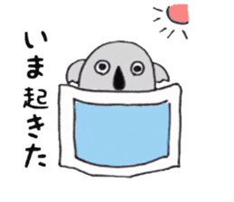 Koala of the university student sticker #5871324