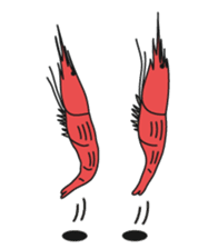 Lake Saroma friends sticker #5872876