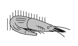 Lake Saroma friends sticker #5872890