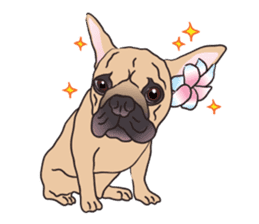 Baby Maru (Baby French Bulldog) sticker #5872912