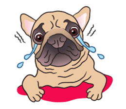 Baby Maru (Baby French Bulldog) sticker #5872924
