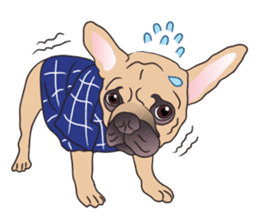Baby Maru (Baby French Bulldog) sticker #5872929