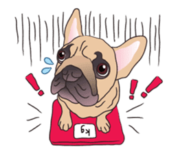 Baby Maru (Baby French Bulldog) sticker #5872930