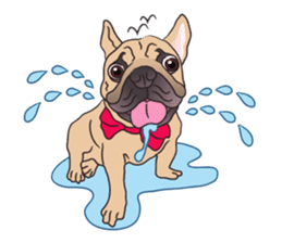 Baby Maru (Baby French Bulldog) sticker #5872947