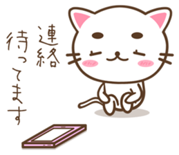 Greetings of eyebrows cat sticker #5876110