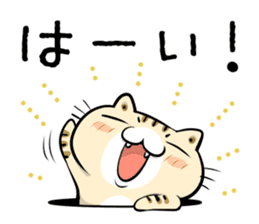 Teen-only Cat Sticker sticker #5877028